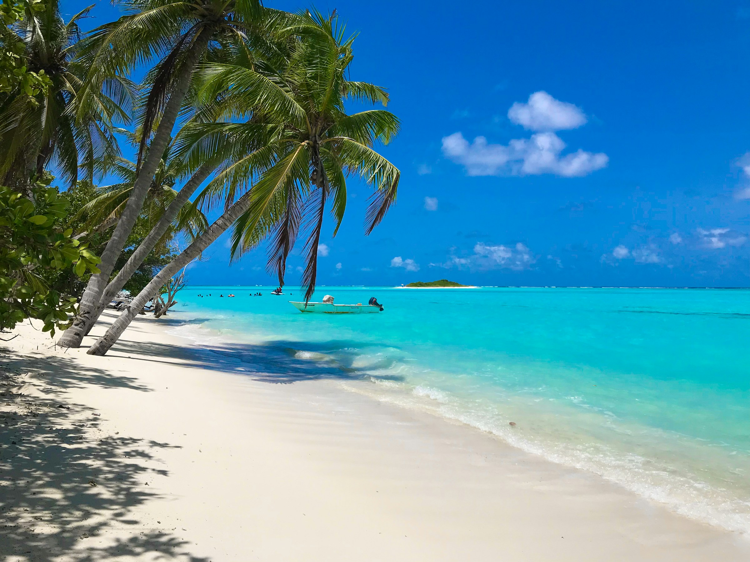 Palm trees beside white sand and clear turquoise water in the Maldives